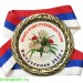 Медаль Премиум Учителям Воспитателям металлическая