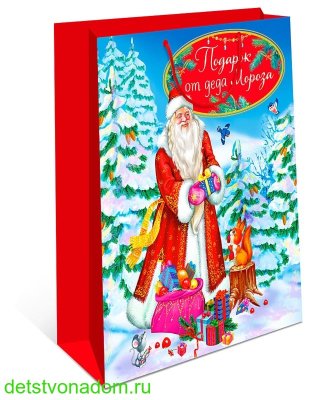 Пакет ламинированный "Подарок от Деда Мороза", MS 18 × 23 × 8 см