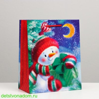 Пакет ламинированный "Снеговик с подарком", BC 18 × 22.3 × 10 см
